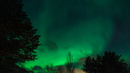 Northern Lights