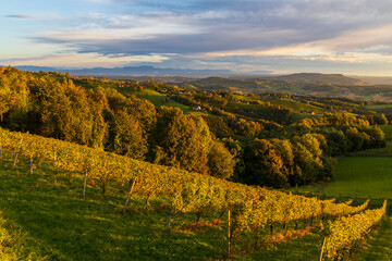 Highest vineyards in Austria near the village Kitzeck im Sausal, Styria, Austria