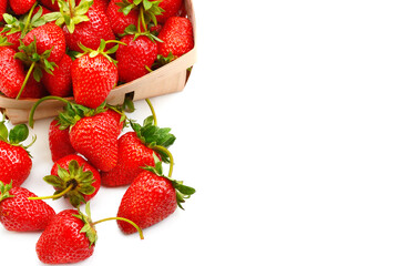 Ripe juicy strawberries isolated on a white . free space for text.