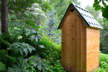 Traditional rustic wooden toilet with a metal roof in a park or garden. A large hogweed grows nearby