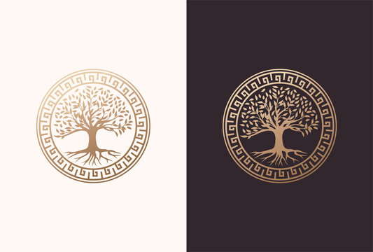 tree of life logo design with circle greek element in a golden color.
