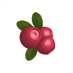Lingonberry 3D.
A northern wild lingonberry plant, Vaccinium vitis-idaea, which blooms in the spring in the forests. Vaccinium vitis-idaea berries lingonberry, mountain cranberry