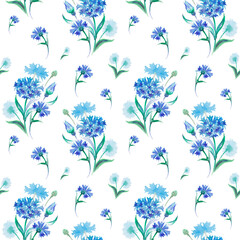 floral watercolor seamless pattern with beautiful cornflower, hand drawn background
