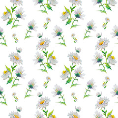  floral watercolor seamless pattern with beautiful chamomiles, hand drawn background