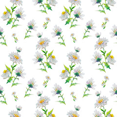  floral watercolor seamless pattern with beautiful chamomiles, hand drawn background