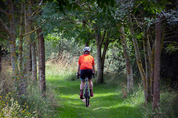 Obraz premium ciclista recorriendo una carretera pintoresca llena de árboles y vegetación con una bicicleta gravel