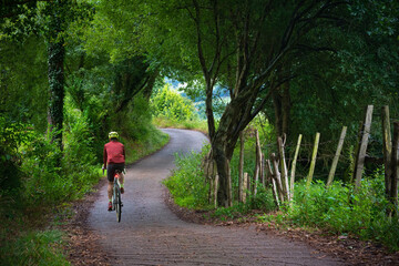ciclista recorriendo una carretera pintoresca llena de árboles y vegetación con una bicicleta...