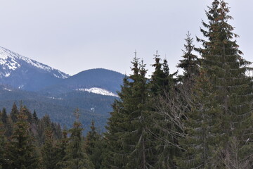 Obraz premium snow covered mountains