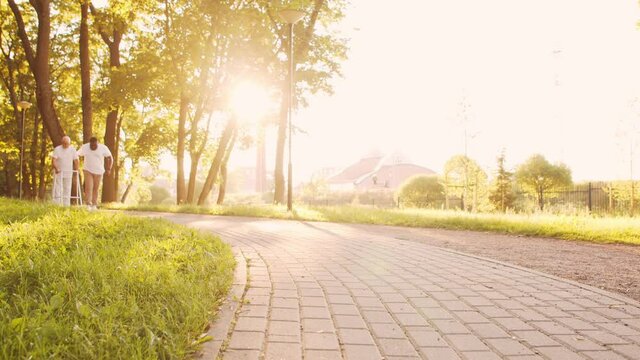 African-American caregiver and old disabled man in a wheelchair. Professional nurse and handicapped patient in the park. Assistance, rehabilitation and health care. Golden hour sunset.