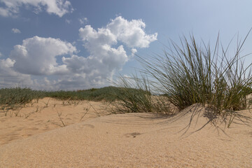 la bella playa de Mazagon,situada en la provincia de Huelva,España. Con sus dunas, vegetacion verde,llerva y un cielo con nubes