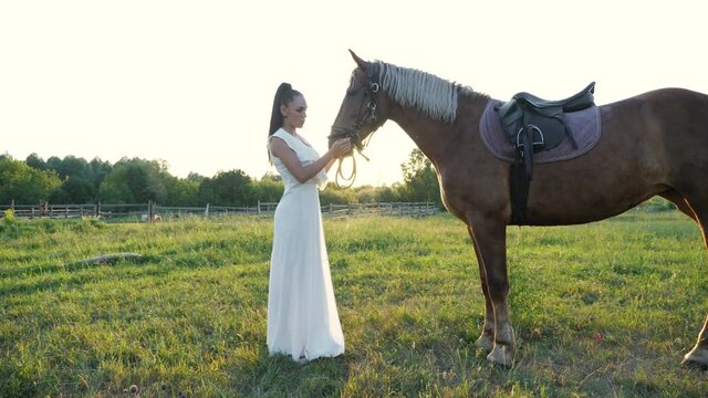 Young woman brunette with long hair in ponytail pets brown horse mane standing on ranch meadow under bright dawn sunlight