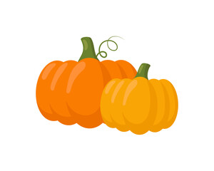 Pumpkin isolated on white background. Vector illustration