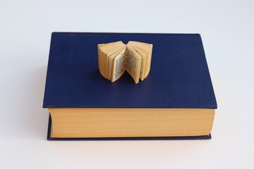 Miniaturwörterbuch auf großem Wörterbuch.