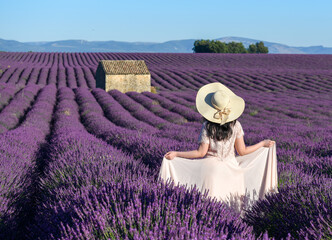 Field of lavender, Provance, France