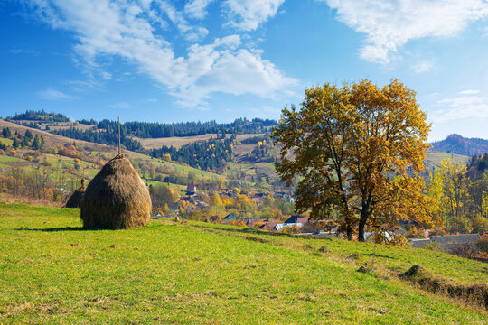 tree and haystack in fall foliage on the hill. autumnal rural scenery on a sunny day. village in the distant valley