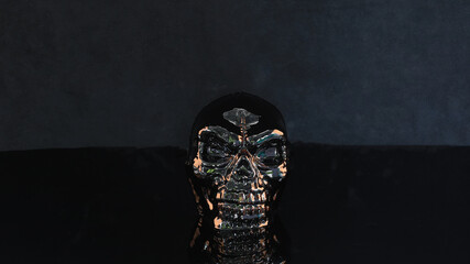 black skull in black oil