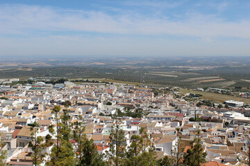 Fototapeta na wymiar Landscape of Estepa, town in the province of Seville (Andalusia, Spain)