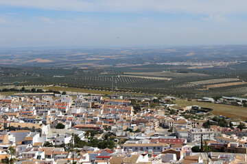 Landscape of Estepa, town in the province of Seville (Andalusia, Spain)