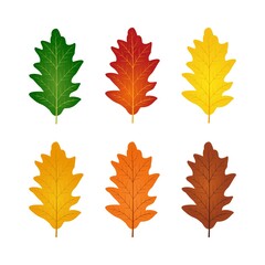 Autumn oak leaf icon vector illustration set. Fall season design element