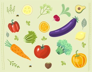 Vegan and vegetarian background. Vegetables and fruits. Vector illustration. Avocado, carrot, bell pepper, brocooli, tomato, radish, pumpkin, nut, bee. Lemon and orange. For shop, signboard, poster.