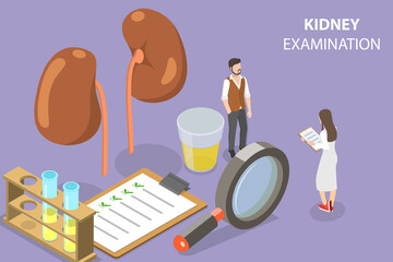 3D Isometric Flat Vector Conceptual Illustration of Kidney Checkup, Urology and Nephrology