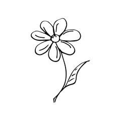 A single element is a flower drawn by hand. Vector black and white doodle illustration for logo, design and postcards