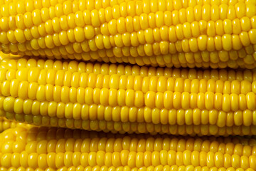 Boiled corn on a black background. Delicious sweet corn. Healthy food