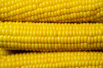 Boiled corn on a black background. Delicious sweet corn. Healthy food
