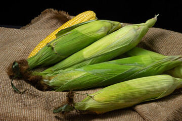 Ear of corn on a dark background. Fresh corn on the cob. Healthy food