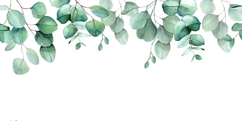 seamless border, frame of eucalyptus leaves and branches. watercolor drawing green leaves of eucalyptus on white background. print for wedding, invitations, congratulations. web banner - obrazy, fototapety, plakaty