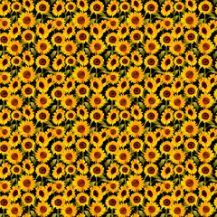 Sunflowers seamless pattern. Colorful bright yellow sunflowers Textile fabric design Scrapbook paper craft diy creative projects. Harvest, autumn decor. Thanksgiving digital paper.