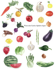 Watercolor fruits and vegetables illustrations isolated on white background. Each fruit and vegetable for each letter of English alphabet. Create abc flash cards, classroom suppliers, menu or cookbook
