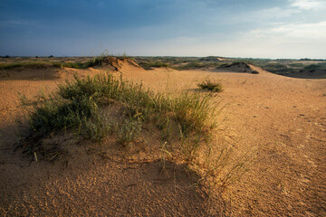 desert landscape at sunrise. summer background
