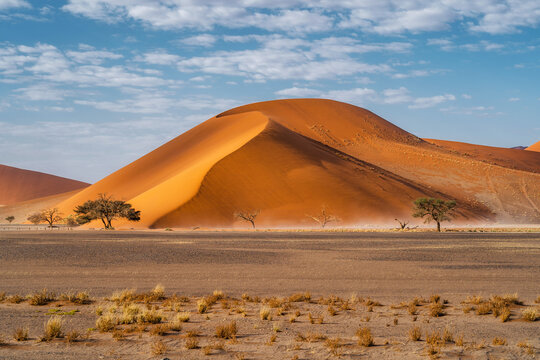 Towering sand dunes at sunrise near Sossusvlei in the Namib-Naukluft National Park, Namibia, Africa.
