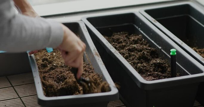 Woman prepare the soil for planting at home balcony