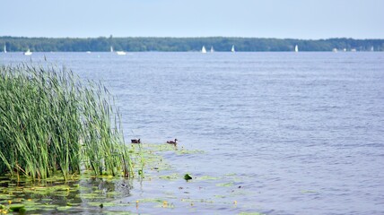 Reservoir lake and river with yachts and boats. 