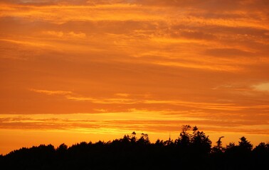 Fototapeta na wymiar sunset over the forest