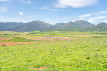 Fototapeta premium Paisaje del pueblo de Mirandilla Jalisco, muchos verdes en el campo. 