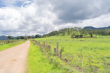 Paisaje del pueblo de Mirandilla Jalisco, camino de tierra en la naturaleza verde.
