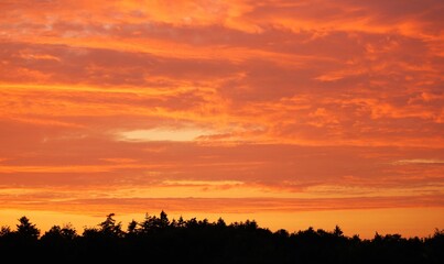 sunset over the forest