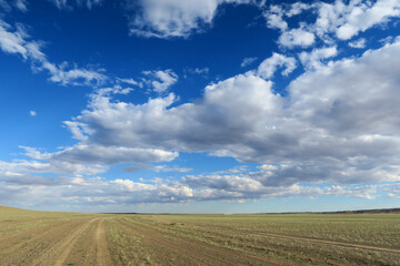 Fototapeta premium fantastic sky in steppe