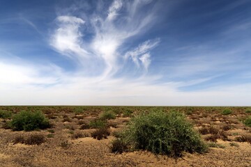 Fototapeta na wymiar warm day in desert