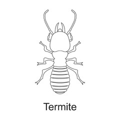 Beetle insect vector outline icon. Vector illustration bug insect on white background. Isolated outline illustration icon of beetle pest .