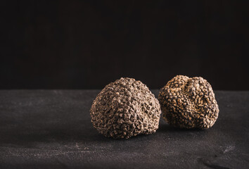 Truffle tuber on black background copy space.