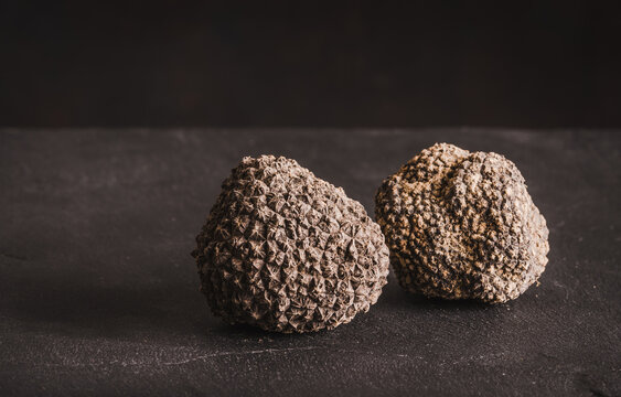 Black truffles tuber on dark background copy space.