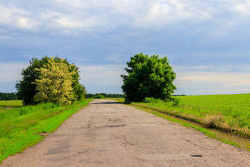 Fototapeta na wymiar Summer landscape with country asphalt road and blue sky