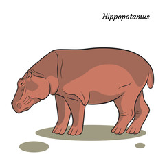 graphic vector outline illustration with animal hippopotamus-02