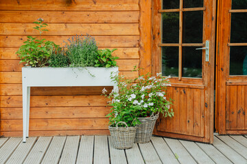 Raised bed with plants and flowers next to a wooden house in the garden. Hydrangea and lavender in a raised bed in summer. Beautiful plants in front of a wooden hut 