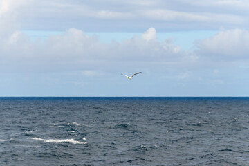 Seascape, blue sea. Calm weather. View from vessel.