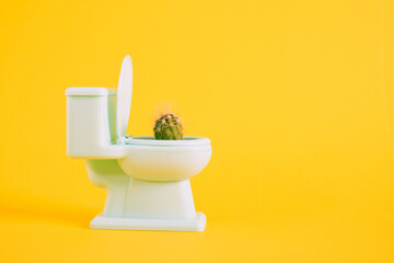Sharp cactus in miniature toilet pot on yellow background copy space
